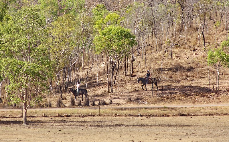 2009-11-06 22-00-56_2.jpg - Inga beim morgentlichen Ausritt in Mt Bundy Station.